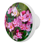 Pink Plumeria Keramische Knop (Rechts)