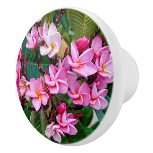 Pink Plumeria Keramische Knop (Rechts)