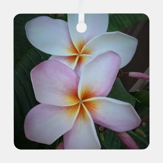 Pink Plumeria Metal Ornament (Voorkant)
