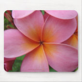 Pink Plumeria Mousepad Muismat (Voorkant)