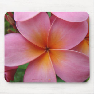 Pink Plumeria Mousepad Muismat