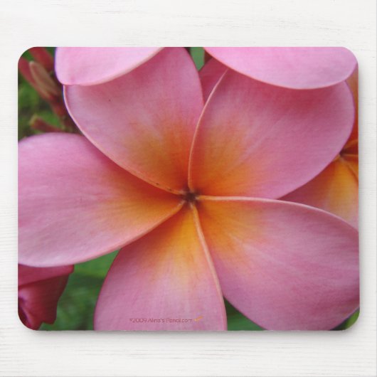 Pink Plumeria Mousepad Muismat (Voorkant)