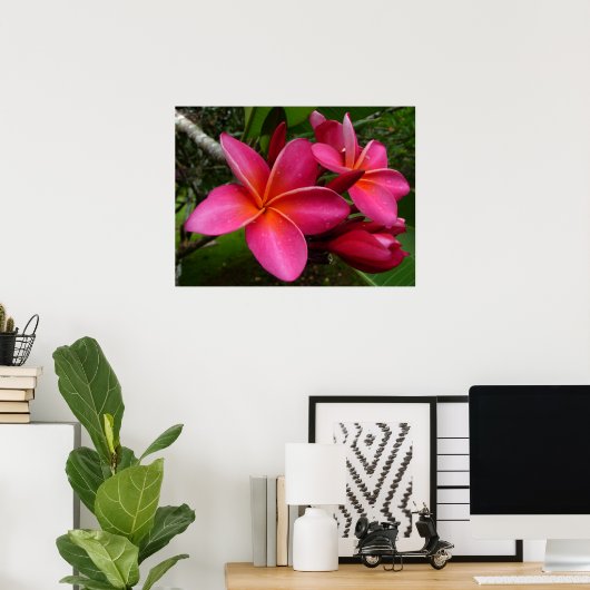 Pink Plumeria Poster (Thuiskantoor)