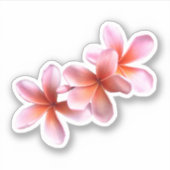 Pink Plumeria Real Floral Hawaiian Flowers Sticker (Voorkant)