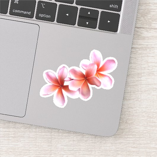 Pink Plumeria Real Floral Hawaiian Flowers Sticker (Detail)