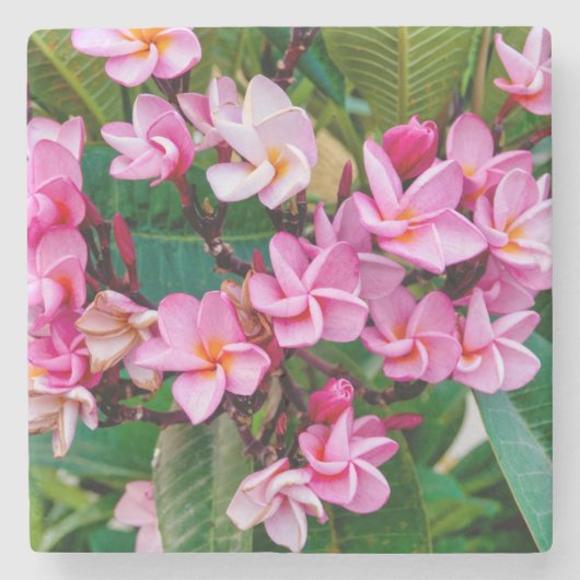 Pink Plumeria Stenen Onderzetter (Voorkant)