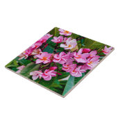 Pink Plumeria Tegeltje (Zijkant)