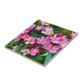Pink Plumeria Tegeltje (Zijkant)