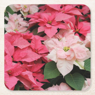 Pink Poinsettias Bouquet  Kartonnen Onderzetters