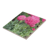 Pink Pom Pom Poppies Tegeltje (Zijkant)