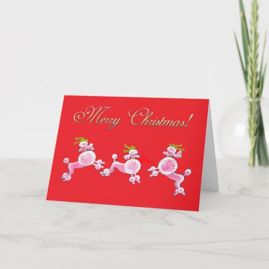 Pink Poodle Retro Merry Christmas Greeting Cards Feestdagen Kaart (Voorkant)