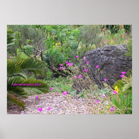 Pink Poppies Garden Poster (Voorkant)