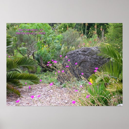 Pink Poppies Garden Print - Selecteer uw Lijst (Voorkant)