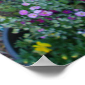 Pink Poppy Poppies Spring Flower Floral Garden Poster (Hoek)