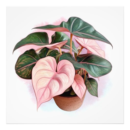 Pink Princess Philodenron in de Poot Foto Afdruk (Voorkant)