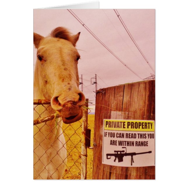 Pink Private Property Horse (Voorkant)