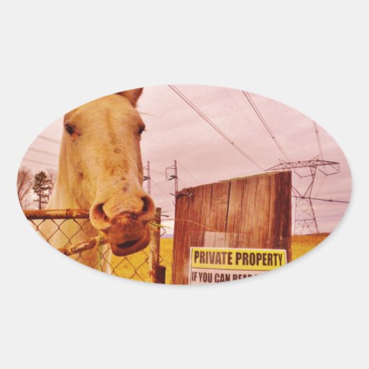Pink Private Property Horse Ovale Sticker (Voorkant)
