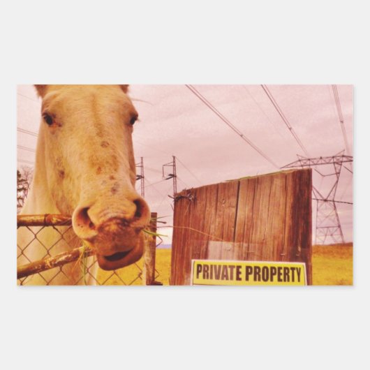 Pink Private Property Horse Rechthoekige Sticker (Voorkant)