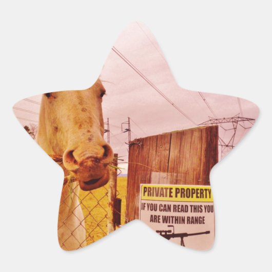 Pink Private Property Horse Ster Sticker (Voorkant)