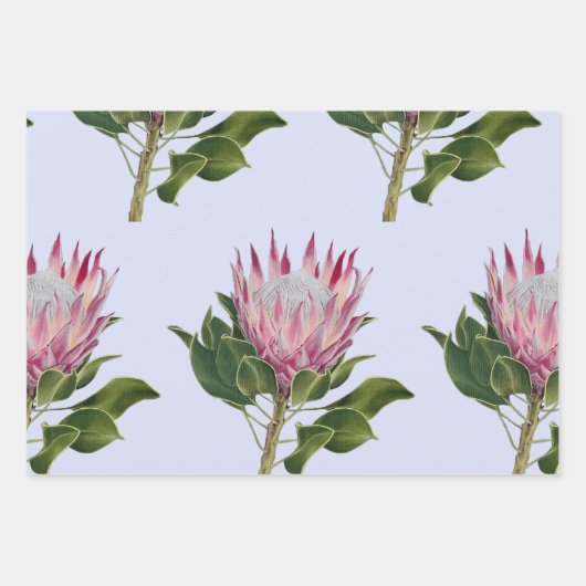 Pink Protea Cadeaupapier Vellen 3 Sets (Voorkant 3)