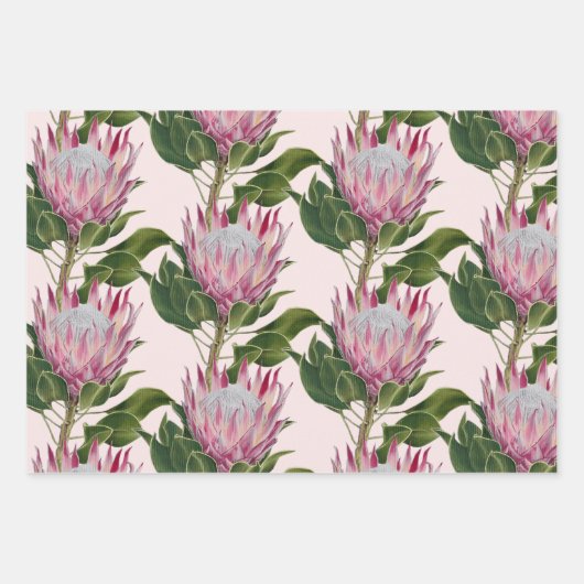 Pink Protea Cadeaupapier Vellen 3 Sets (Voorkant 2)