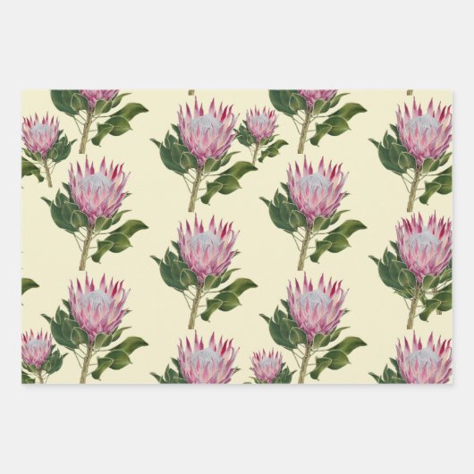 Pink Protea Cadeaupapier Vellen 3 Sets (Voorkant)