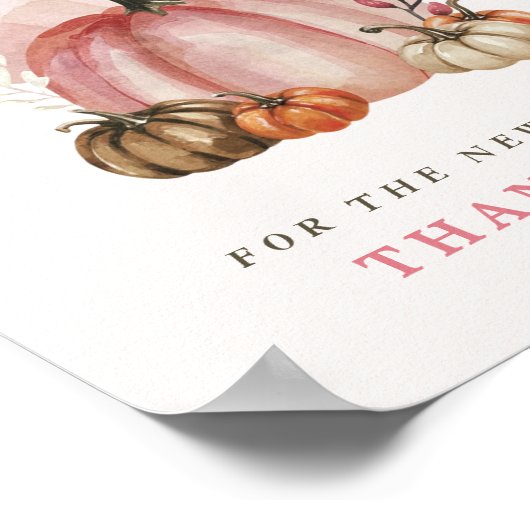 Pink Pumpkin Baby shower advies wenst nieuwe ouder Poster (Hoek)