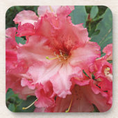 Pink Rhododendron Bloom Floral Bier Onderzetter (Voorkant)