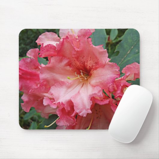 Pink Rhododendron Bloom Floral Muismat (Met muis)