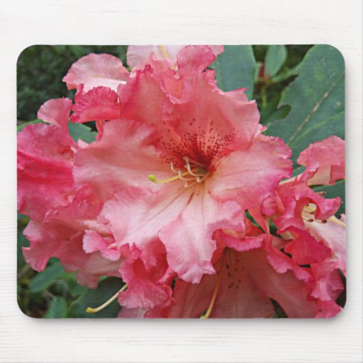 Pink Rhododendron Bloom Floral Muismat (Voorkant)