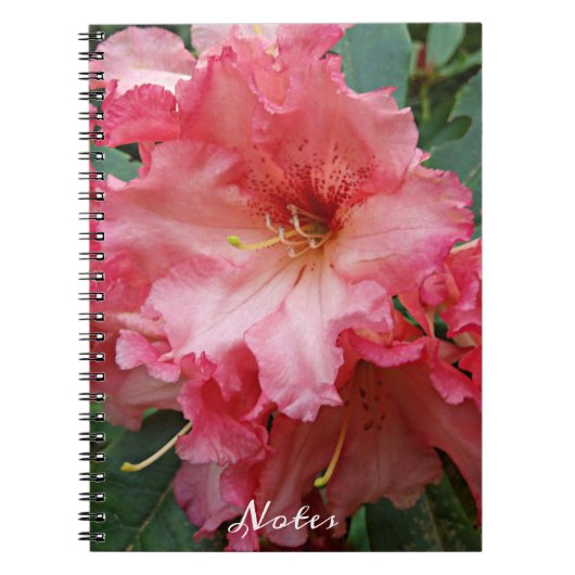 Pink Rhododendron Bloom Floral Notitieboek (Voorkant)