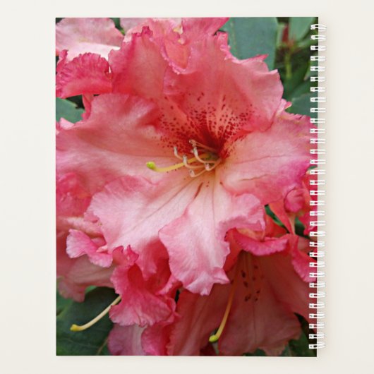 Pink Rhododendron Bloom Floral Planner (Achterkant)