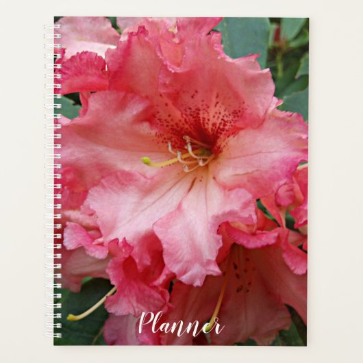 Pink Rhododendron Bloom Floral Planner (Voorkant)