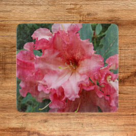Pink Rhododendron Bloom Floral Snijplank