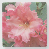 Pink Rhododendron Bloom Floral Stenen Onderzetter (Voorkant)