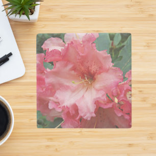 Pink Rhododendron Bloom Floral Stenen Onderzetter