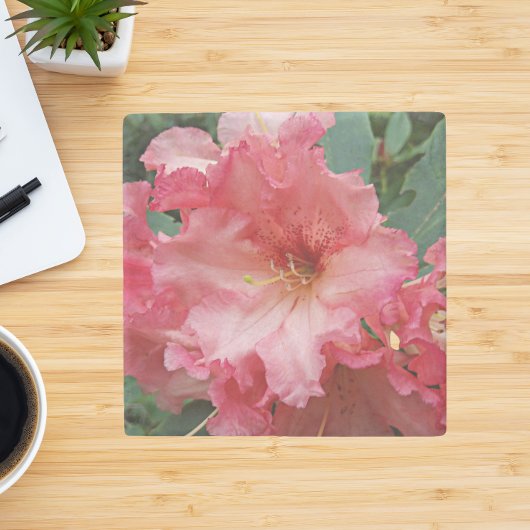 Pink Rhododendron Bloom Floral Stenen Onderzetter