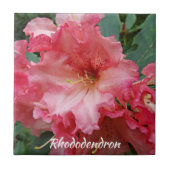 Pink Rhododendron Bloom Floral Tegeltje (Voorkant)