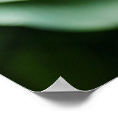 Pink Rodgersia Flower Poster (Hoek)