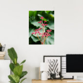 Pink Rodgersia Flower Poster (Thuiskantoor)