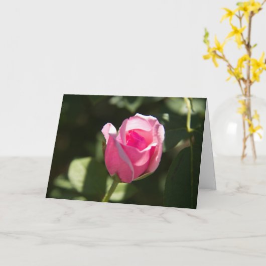 Pink Rose Bud Sympathy Kaart (Gele Bloem)