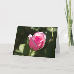 Pink Rose Bud Sympathy Kaart