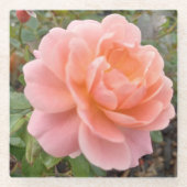 Pink Rose Coster Glazen Onderzetter (Voorkant)