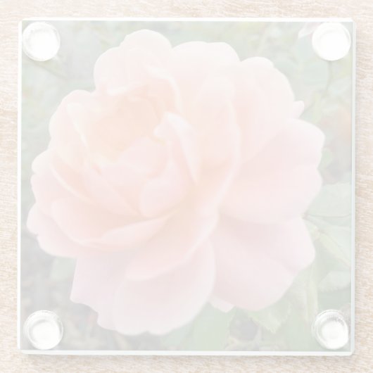 Pink Rose Coster Glazen Onderzetter (Achterkant)
