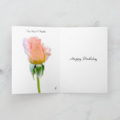 PINK ROSE FEATHER HAPPY BIRTHDAY WENSKAART KAART (Binnen)