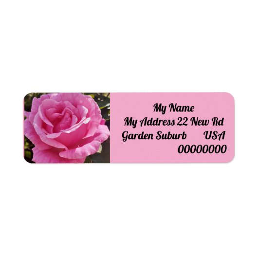 Pink Rose Flower Floral Return Address Labels (Voorkant)