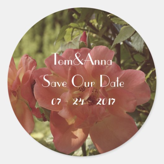 Pink Rose fotografie Save the date Sticker (Voorkant)