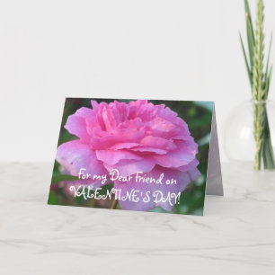 Pink Rose Friendship Kaart