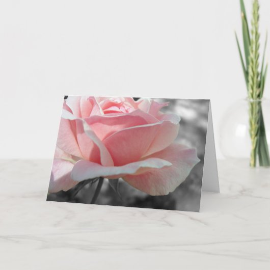 Pink Rose Gray Kaart (Voorkant)