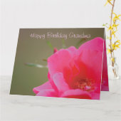 Pink Rose Happy Birthday grootma Kaart (Gele Bloem)